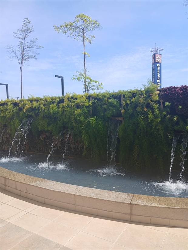 Espelho d'água com muro verde e vegetação