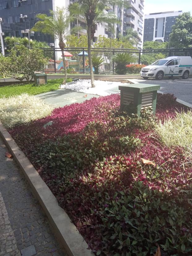 Canteiro com forração vermelha e arbustos