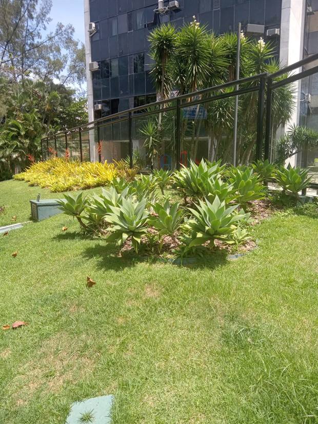 Área gramada com plantas ornamentais