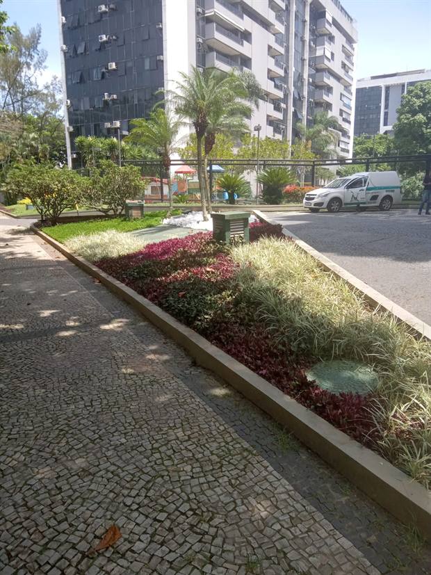Canteiro linear vermelho ao longo de via
