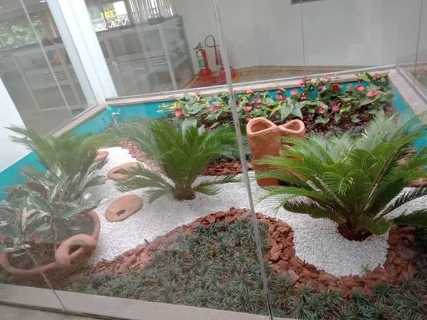 Jardim interno com cicas e seixos decorativos