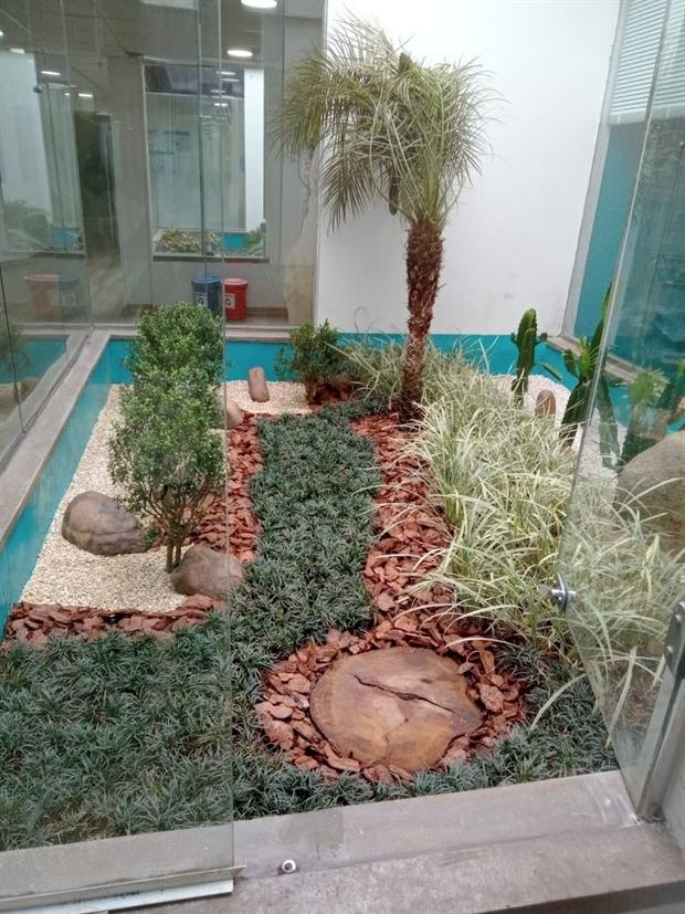 Jardim interno envidraçado com palmeira