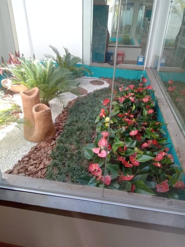 Jardim interno com flores vermelhas e pedras