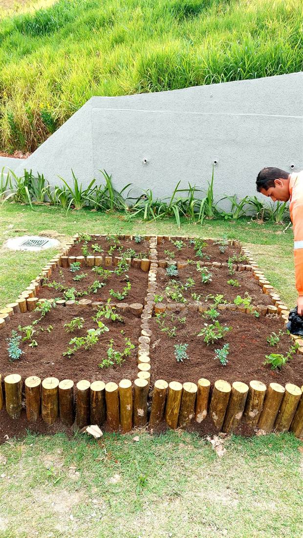 Canteiro com mudas recém plantadas
