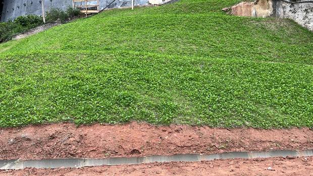 Instalação de grama em placas sobre terreno preparado