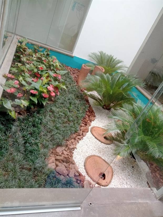 Jardim interno com pedras decorativas e plantas ornamentais
