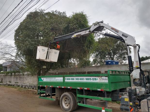 Caminhão munck em serviço de remoção de árvore