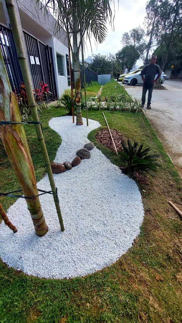Canteiro com seixos brancos e palmeira em projeto paisagístico