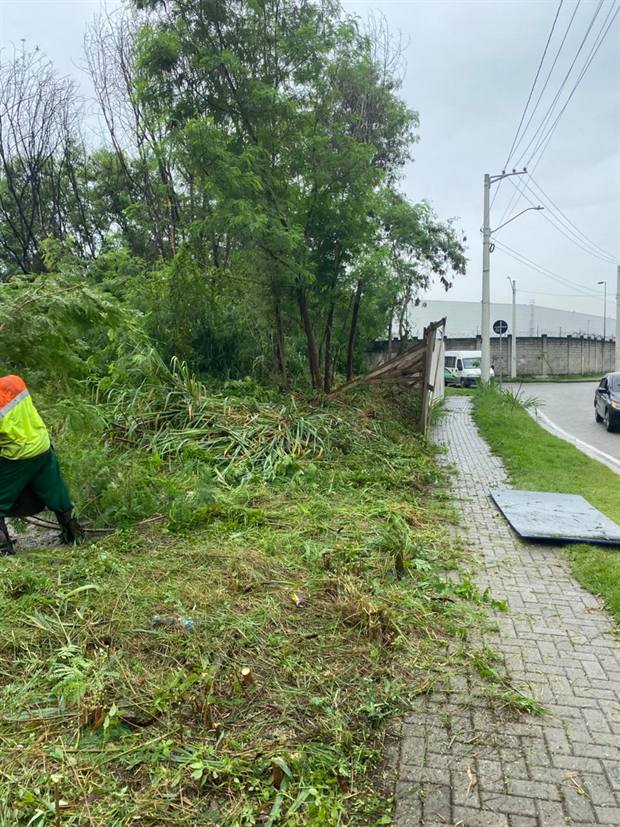 Equipe realizando roçada e limpeza de terreno