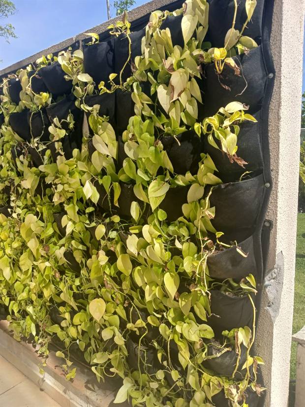 Jardim vertical instalado em muro