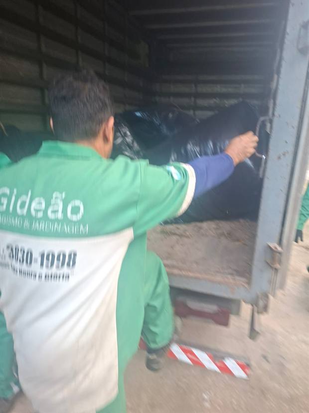 Colaborador da Gideão Paisagismo uniformizado durante um serviço