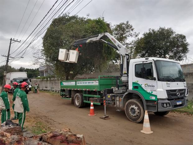 Caminhão munck da Gideão Paisagismo em operação de remoção de árvore